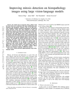 Improving mitosis detection on histopathology images using large
  vision-language models