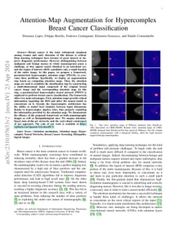 Attention-Map Augmentation for Hypercomplex Breast Cancer Classification