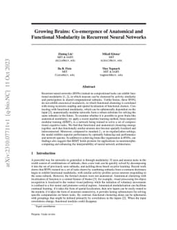 Growing Brains: Co-emergence of Anatomical and Functional Modularity in
  Recurrent Neural Networks