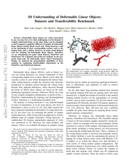 3D Understanding of Deformable Linear Objects: Datasets and
  Transferability Benchmark
