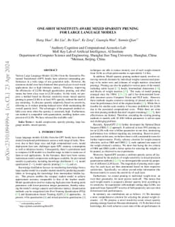 One-Shot Sensitivity-Aware Mixed Sparsity Pruning for Large Language
  Models