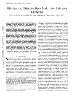 Efficient and Effective Deep Multi-view Subspace Clustering