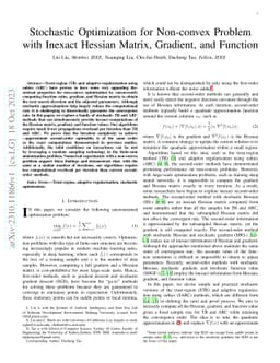 Stochastic Optimization for Non-convex Problem with Inexact Hessian
  Matrix, Gradient, and Function
