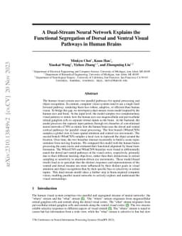 A Dual-Stream Neural Network Explains the Functional Segregation of
  Dorsal and Ventral Visual Pathways in Human Brains