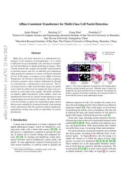 Affine-Consistent Transformer for Multi-Class Cell Nuclei Detection
