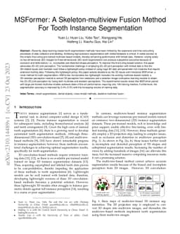 MSFormer: A Skeleton-multiview Fusion Method For Tooth Instance
  Segmentation