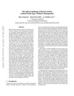 The Safety Challenges of Deep Learning in Real-World Type 1 Diabetes
  Management