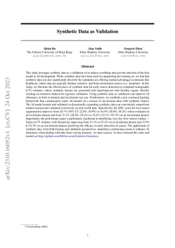 Synthetic Data as Validation