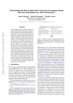 Understanding the Role of Input Token Characters in Language Models: How
  Does Information Loss Affect Performance?
