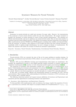 Invariance Measures for Neural Networks
