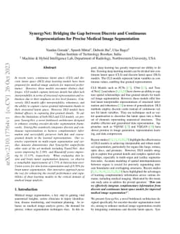 SynergyNet: Bridging the Gap between Discrete and Continuous
  Representations for Precise Medical Image Segmentation
