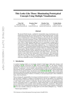 This Looks Like Those: Illuminating Prototypical Concepts Using Multiple
  Visualizations