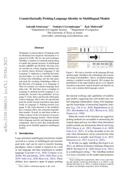 Counterfactually Probing Language Identity in Multilingual Models