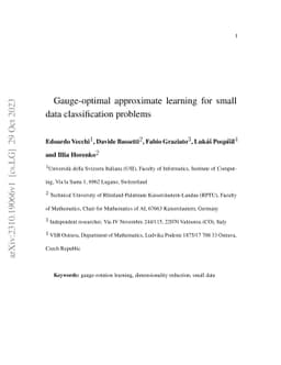 Gauge-optimal approximate learning for small data classification
  problems