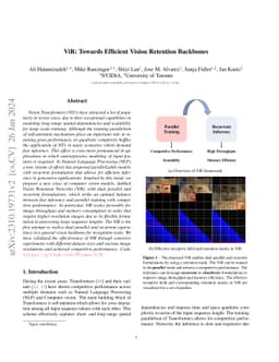 ViR: Towards Efficient Vision Retention Backbones
