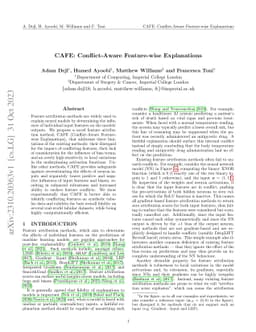 CAFE: Conflict-Aware Feature-wise Explanations