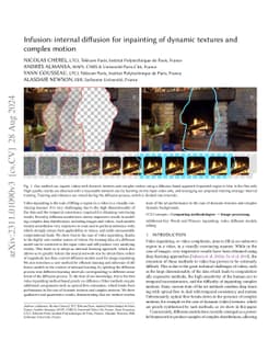Infusion: internal diffusion for inpainting of dynamic textures and complex motion