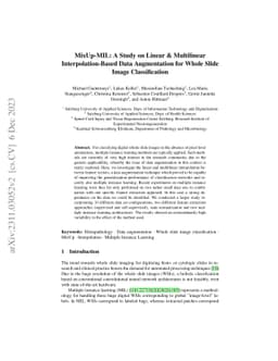 MixUp-MIL: A Study on Linear & Multilinear Interpolation-Based Data
  Augmentation for Whole Slide Image Classification