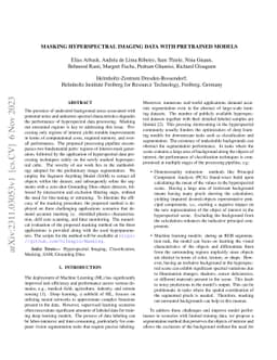 Masking Hyperspectral Imaging Data with Pretrained Models