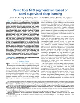 Pelvic floor MRI segmentation based on semi-supervised deep learning
