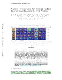 A Simple Interpretable Transformer for Fine-Grained Image Classification
  and Analysis