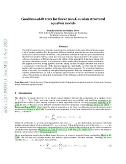 Goodness-of-Fit Tests for Linear Non-Gaussian Structural Equation Models