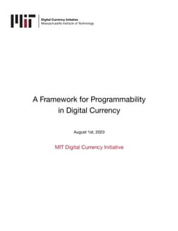 A Framework for Programmability in Digital Currency