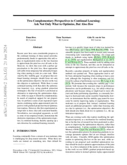 Two Complementary Perspectives to Continual Learning: Ask Not Only What
  to Optimize, But Also How