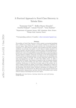 A Practical Approach to Novel Class Discovery in Tabular Data