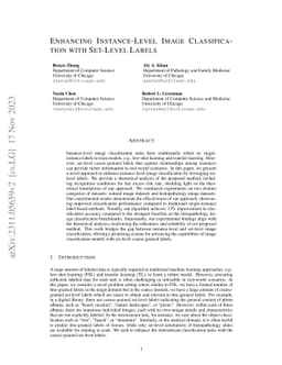 Enhancing Instance-Level Image Classification with Set-Level Labels