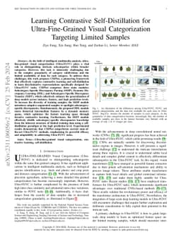 Learning Contrastive Self-Distillation for Ultra-Fine-Grained Visual
  Categorization Targeting Limited Samples