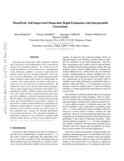 MonoProb: Self-Supervised Monocular Depth Estimation with Interpretable
  Uncertainty