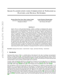 Image Classification using Combination of Topological Features and
  Neural Networks