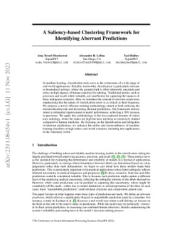 A Saliency-based Clustering Framework for Identifying Aberrant
  Predictions