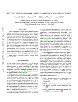 LT-ViT: A Vision Transformer for multi-label Chest X-ray classification