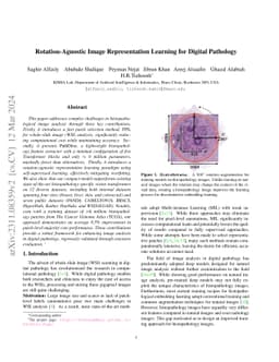 Rotation-Agnostic Image Representation Learning for Digital Pathology
