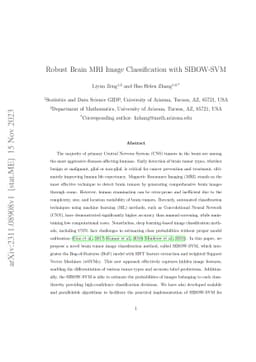 Robust Brain MRI Image Classification with SIBOW-SVM