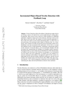 Incremental Object-Based Novelty Detection with Feedback Loop