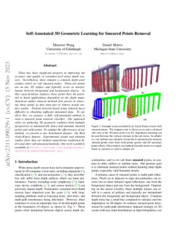 Self-Annotated 3D Geometric Learning for Smeared Points Removal