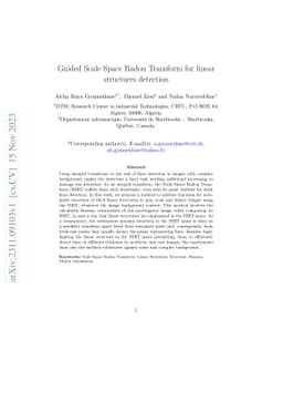 Guided Scale Space Radon Transform for linear structures detection