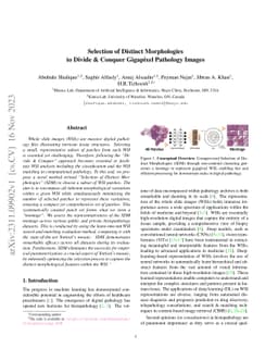Selection of Distinct Morphologies to Divide & Conquer Gigapixel
  Pathology Images