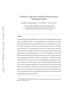 VertDetect: Fully End-to-End 3D Vertebral Instance Segmentation Model