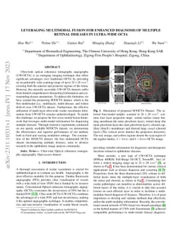Leveraging Multimodal Fusion for Enhanced Diagnosis of Multiple Retinal
  Diseases in Ultra-wide OCTA