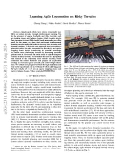 Learning Agile Locomotion on Risky Terrains