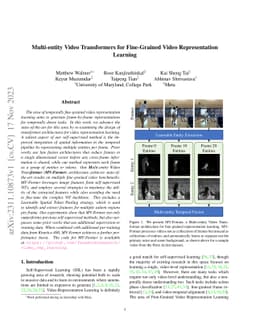 Multi-entity Video Transformers for Fine-Grained Video Representation
  Learning