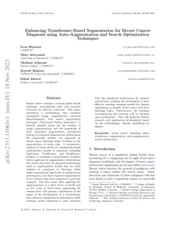 Enhancing Transformer-Based Segmentation for Breast Cancer Diagnosis
  using Auto-Augmentation and Search Optimisation Techniques