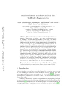 Shape-Sensitive Loss for Catheter and Guidewire Segmentation