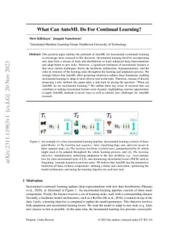 What Can AutoML Do For Continual Learning?