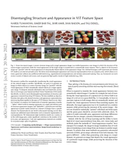 Disentangling Structure and Appearance in ViT Feature Space