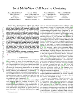 Joint Multi-View Collaborative Clustering
